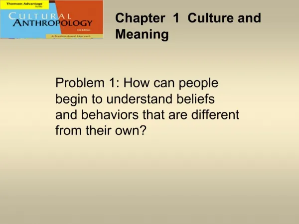 Chapter 1 Culture and Meaning