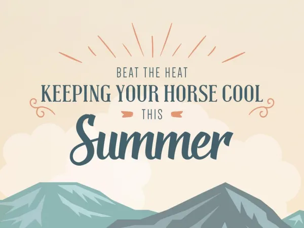 Beat the Heat | Keeping Your Horse Cool This Summer