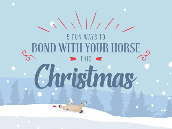 5 Fun Ways to Bond with Your Horse This Christmas