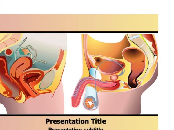 Download Prostate Cancer PowerPoint Templates- Slideworld.Org