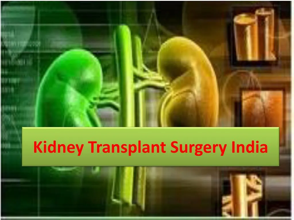 kidney transplant surgery india