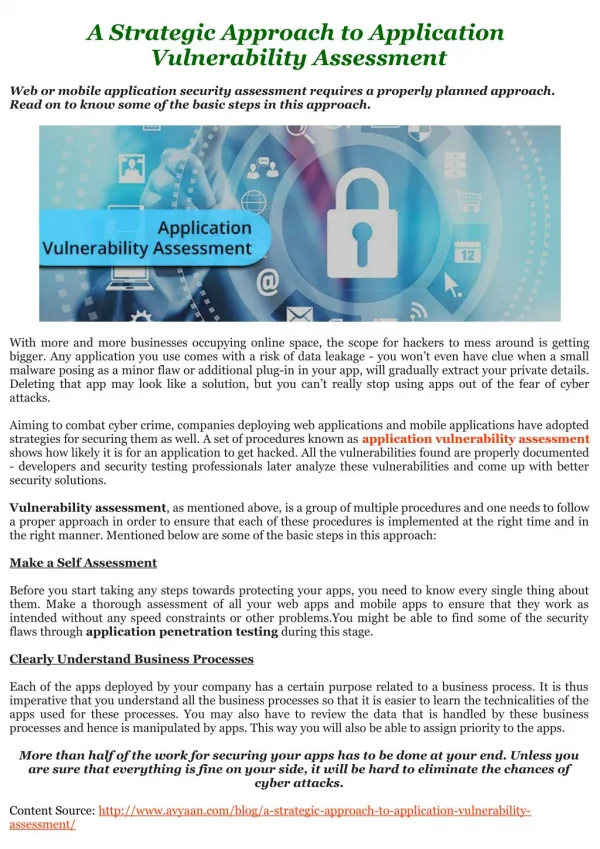 A Strategic Approach to Application Vulnerability Assessment