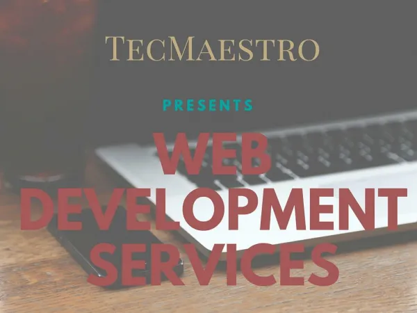 Web Development Services-TecMaestro