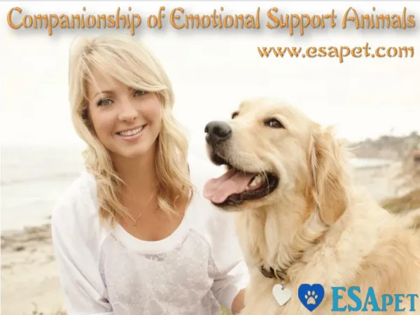 Companionship Of Emotional Support Animals