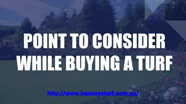 POINT TO CONSIDER WHILE BUYING A TURF!!