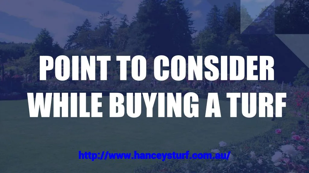 point to consider while buying a turf