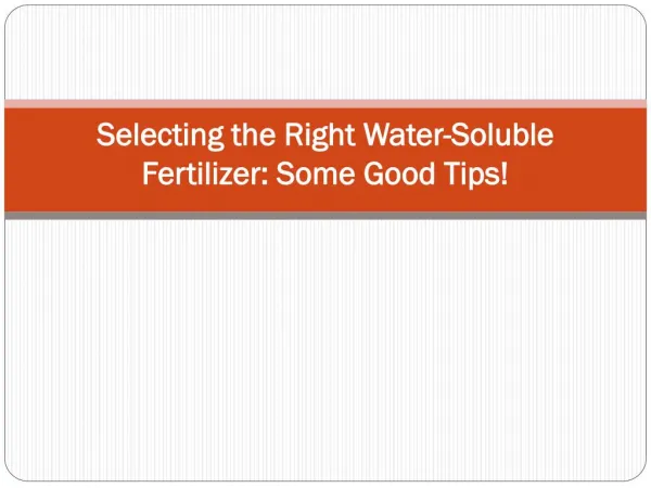 Selecting the Right Water-Soluble Fertilizer: Some Good Tips!