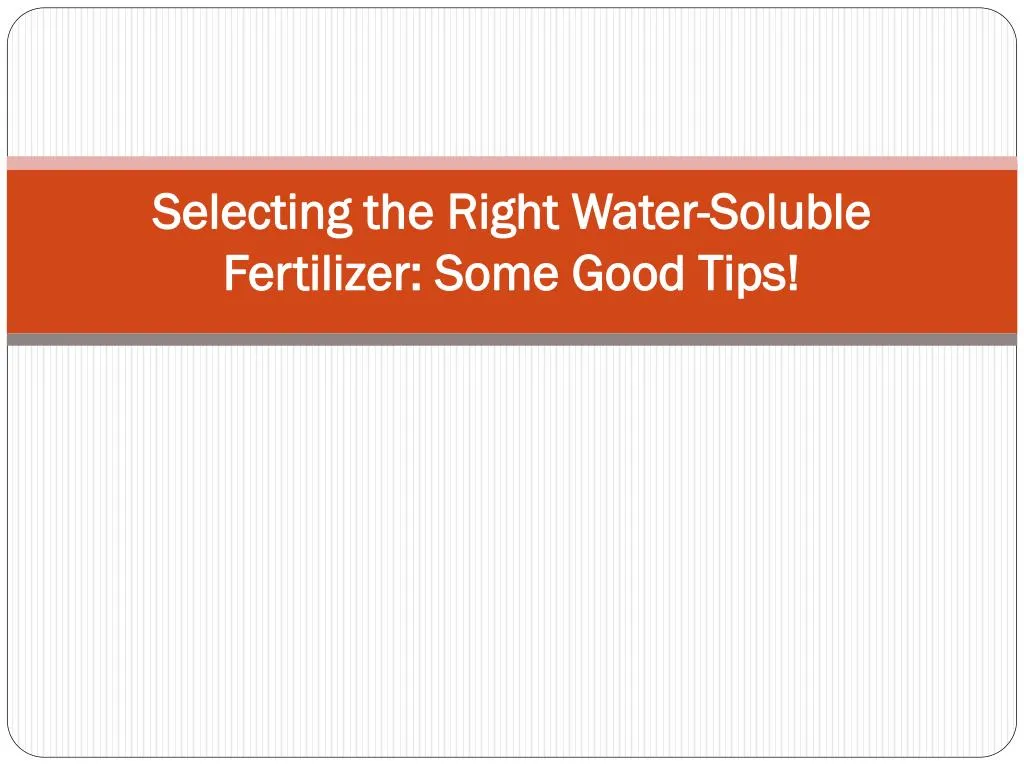 selecting the right water soluble fertilizer some good tips