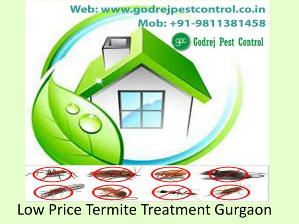 Low Price Termite Treatment Gurgaon Call 9811381458
