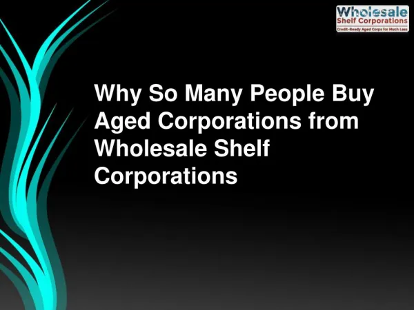 Why So Many People Buy Aged Corporations from Wholesale Shelf Corporations