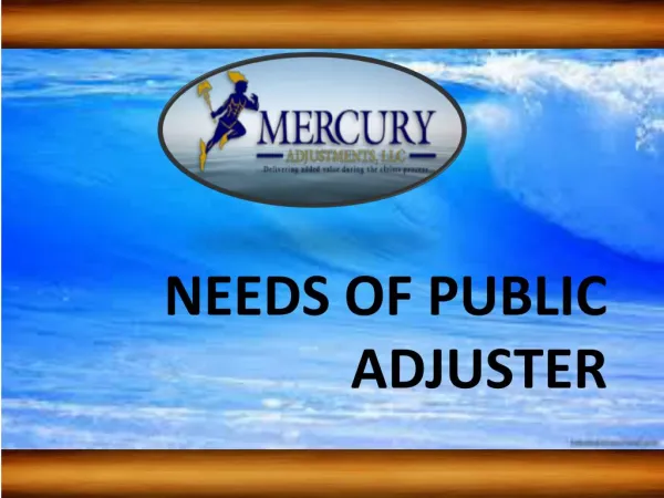 Needs of Insurance Adjusters