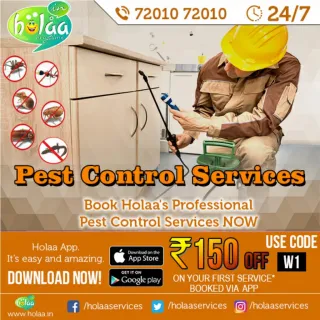 REGULAR PAINTING KEEPS YOUR HOME SHINING - slide 1