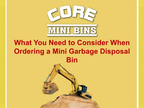 What You Need to Consider When Ordering a Mini Garbage Disposal Bin