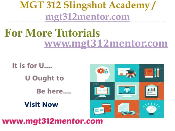 MGT 312 Slingshot Academy / mgt312mentor.com