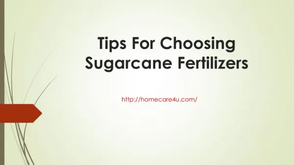 Tips For Choosing Sugarcane Fertilizers