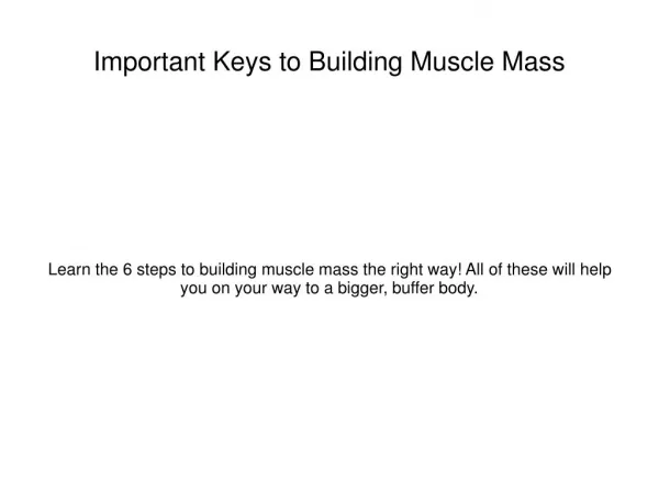 The 5 Keys to Muscle Weight Gain