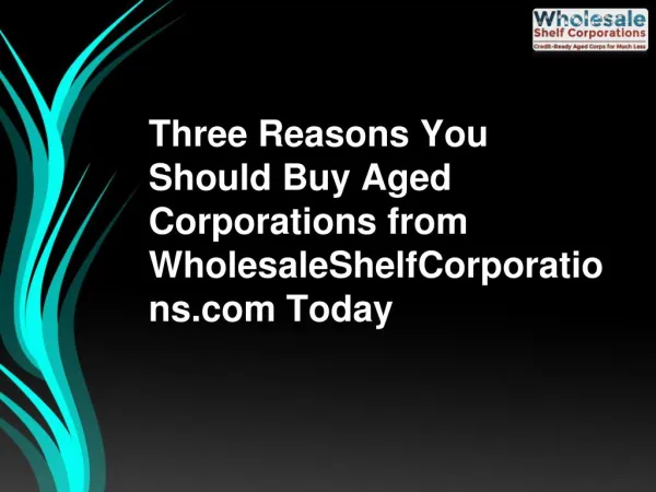 Three Reasons You Should Buy Aged Corporations from WholesaleShelfCorporations.com Today
