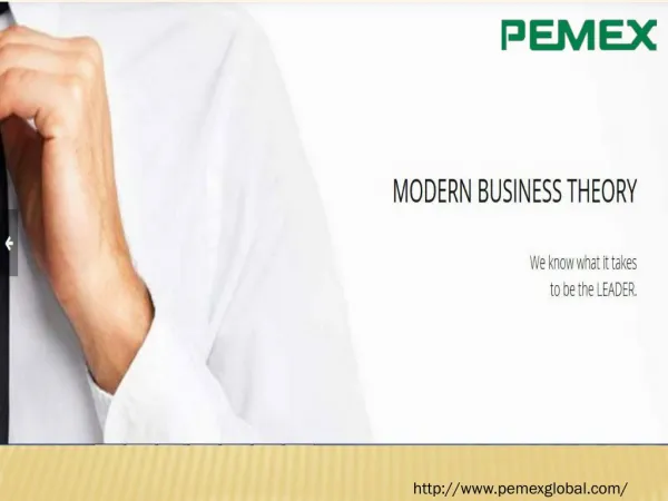 Pemex Global Consultancy Reviews