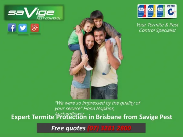 Expert Termite Protection in Brisbane from Savige Pest