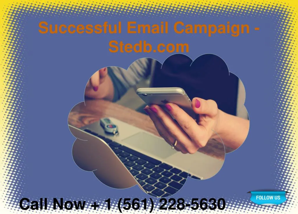 successful email campaign stedb com