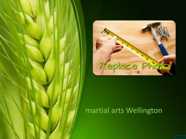 A New Way to Think About Martial Arts Training Wellington