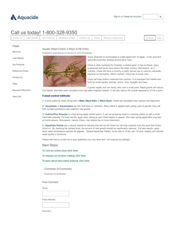 Aquatic Weed Control: 4 Ways to Kill Chara