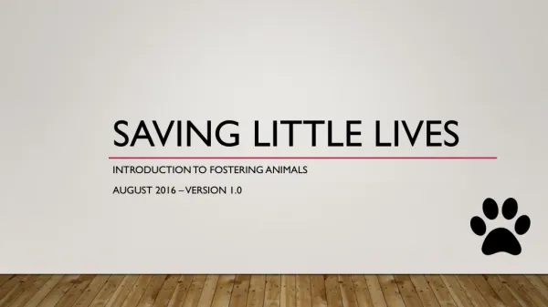 Saving Little Lives