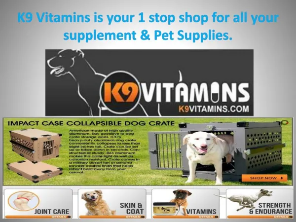 K9 Vitamins is your 1 stop shop for all your supplement & Pet Supplies.