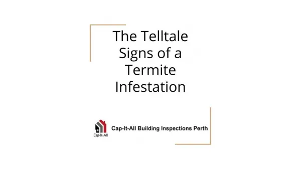 The Telltale Signs of a Termite Infestation