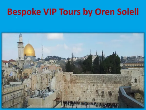 Bespoke VIP Tours by Oren Solell