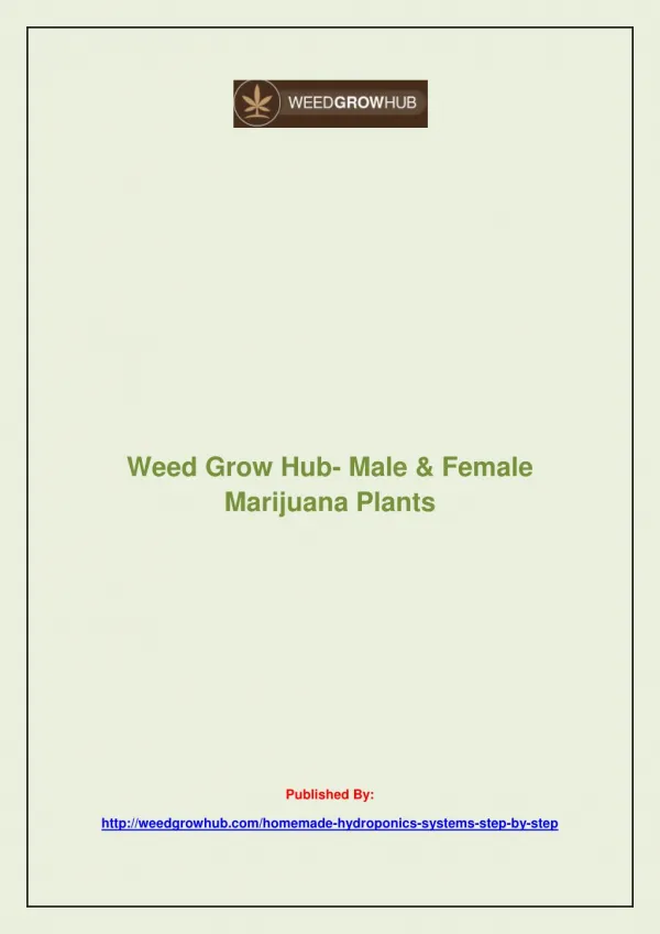 Male & Female Marijuana Plants