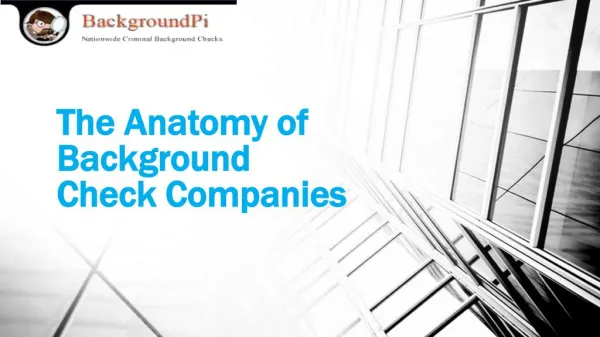 The Anatomy of Background Check Companies