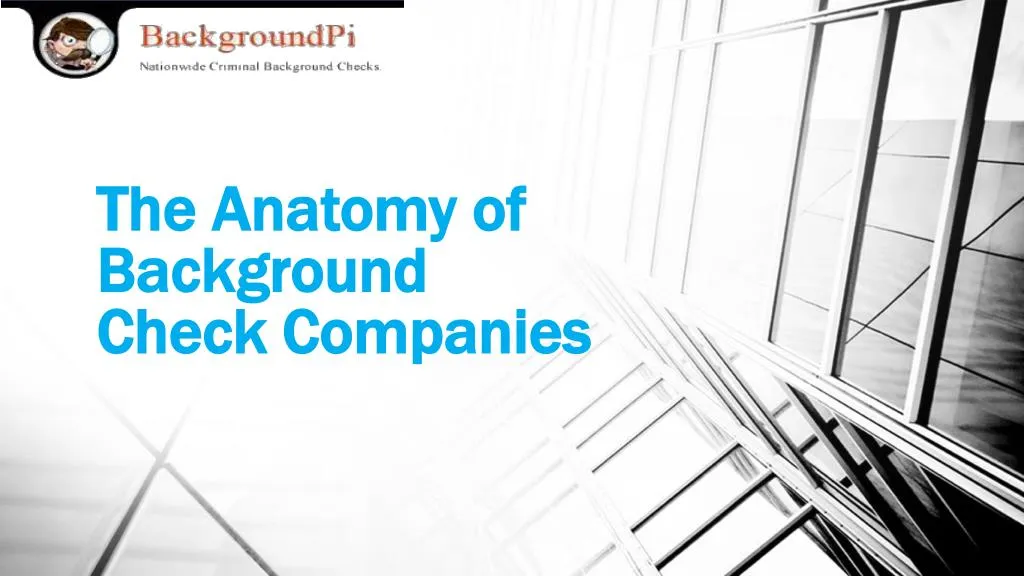 the anatomy of background check companies