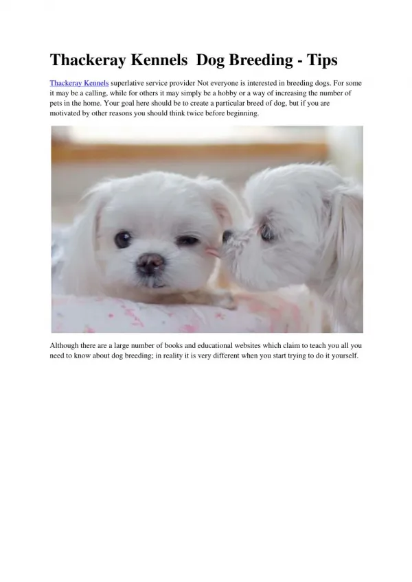 Thackeray Kennels Dog Breeding - Tips