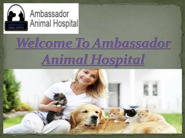Ambassador Animal Hospital- Finest veterinarian amenities in windsor
