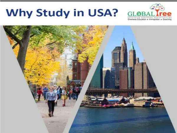 Why Study in usa?