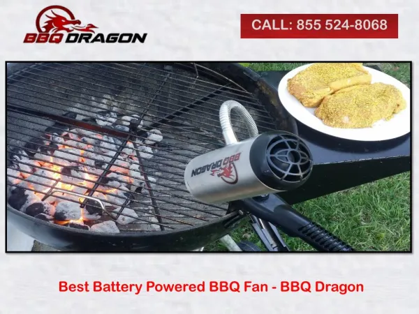Best Battery Powered BBQ Fan - BBQ Dragon