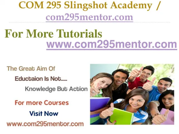 COM 295 Slingshot Academy / com295mentor.com