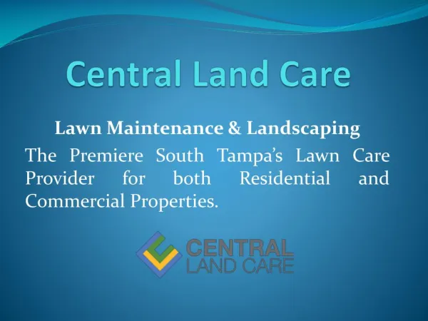 South Tampa Lawn Care| South Tampa Landscaping