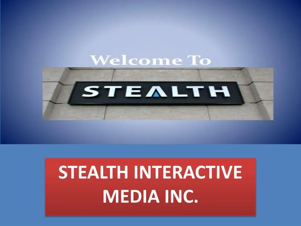 stealth interactive media inc