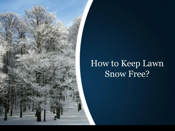 How to Keep Lawn Snow Free?
