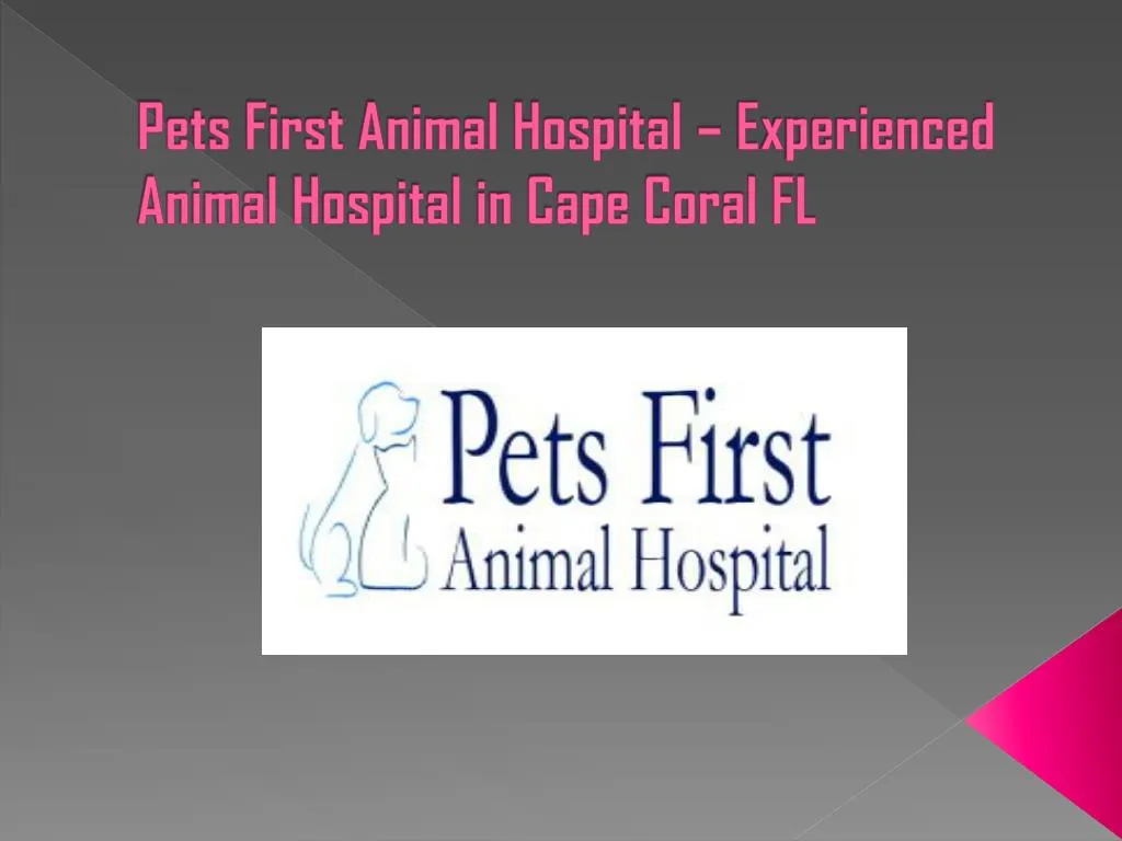 pets first animal hospital experienced animal hospital in cape coral fl