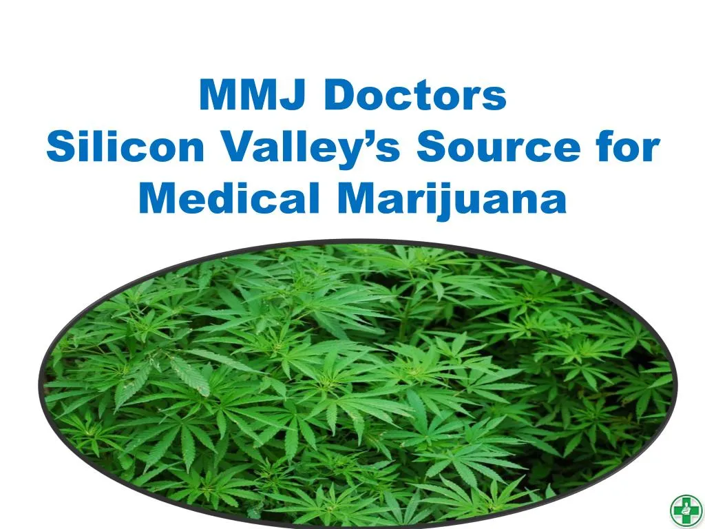 mmj doctors silicon valley s source for medical marijuana