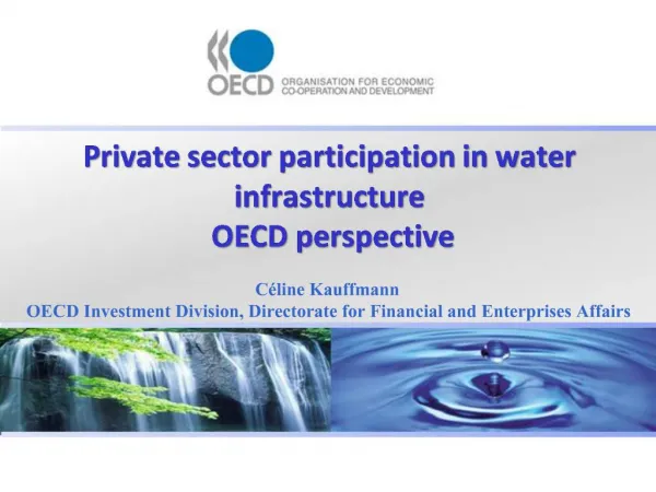 Private sector participation in water infrastructure OECD perspective