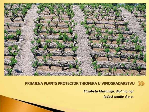 PRIMJENA PLANTS PROTECTOR THIOFERA U VINOGRADARSTVU