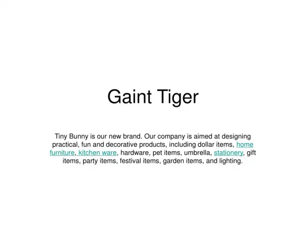 Ningbo Giant Tiger Co. Ltd