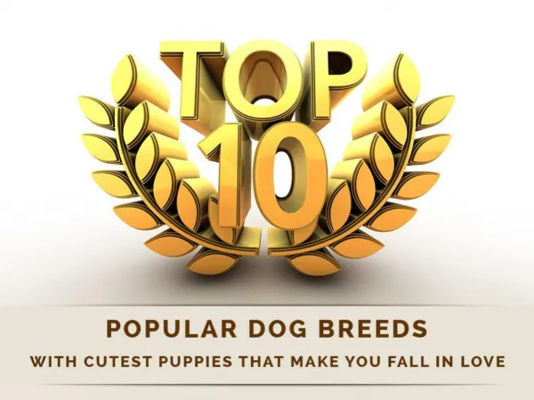 10 Popular Dog Breeds with Cutest Puppies that Make You Fall in Love