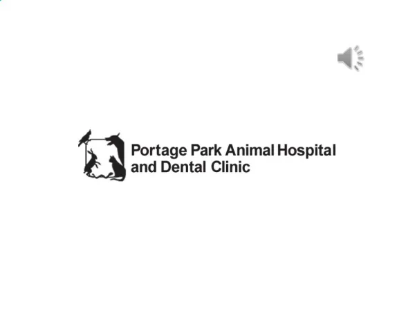 Animal Dental Clinic and Veterinary Hospital in Portage Park