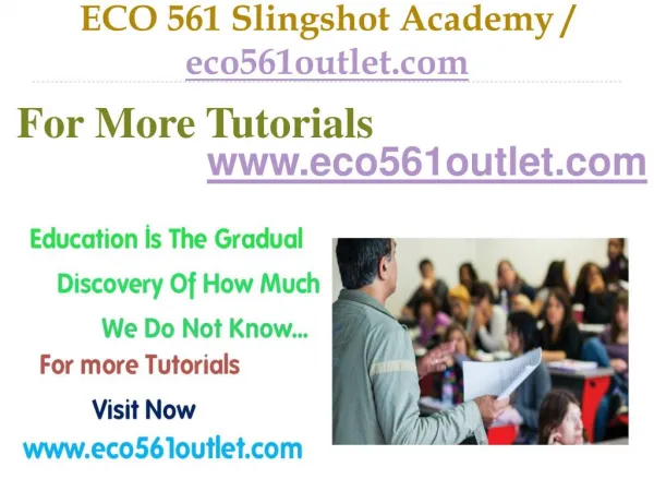 ECO 561 Slingshot Academy / eco561outlet.com