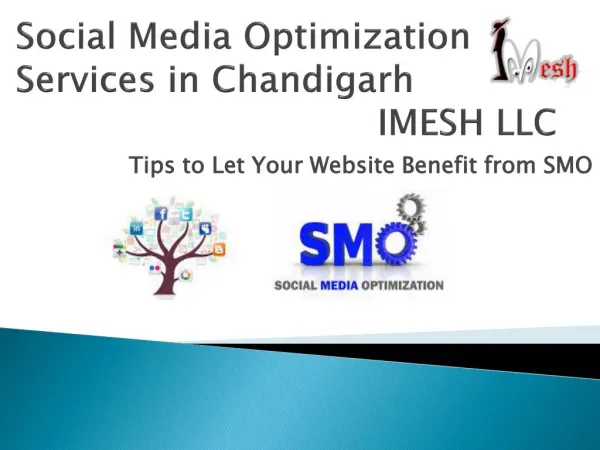 Social Media Optimization Services in Chandigarh